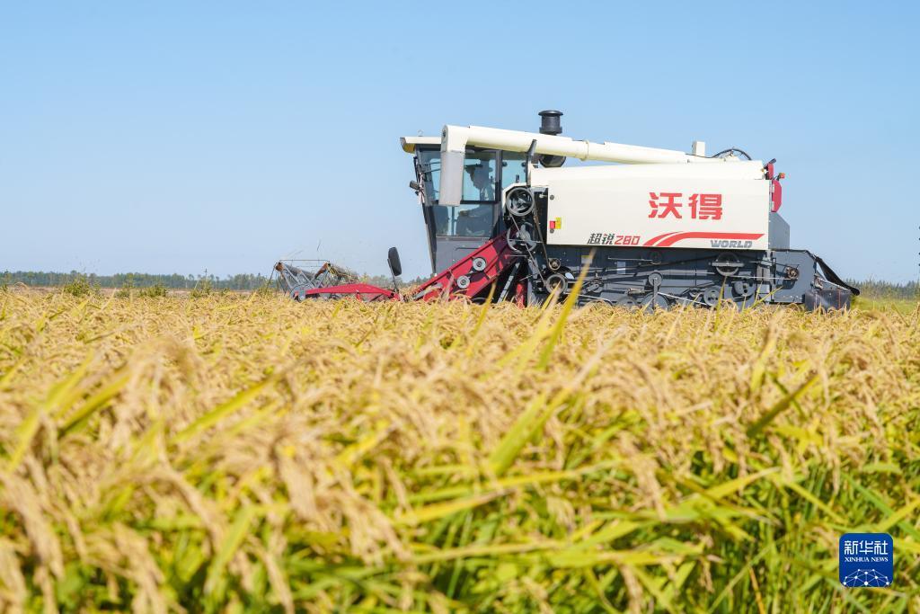 钱柜qg999手机官网